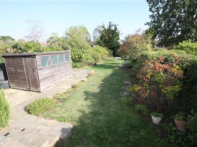 Picture 14